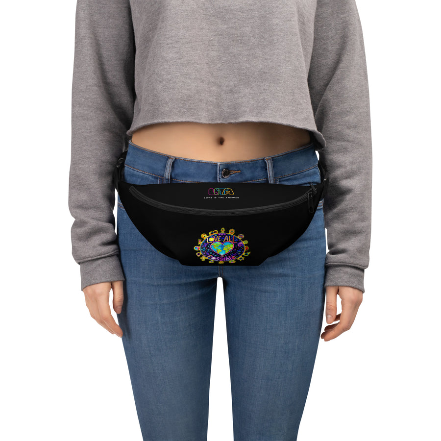 Fanny Pack - With Love All Is Possible